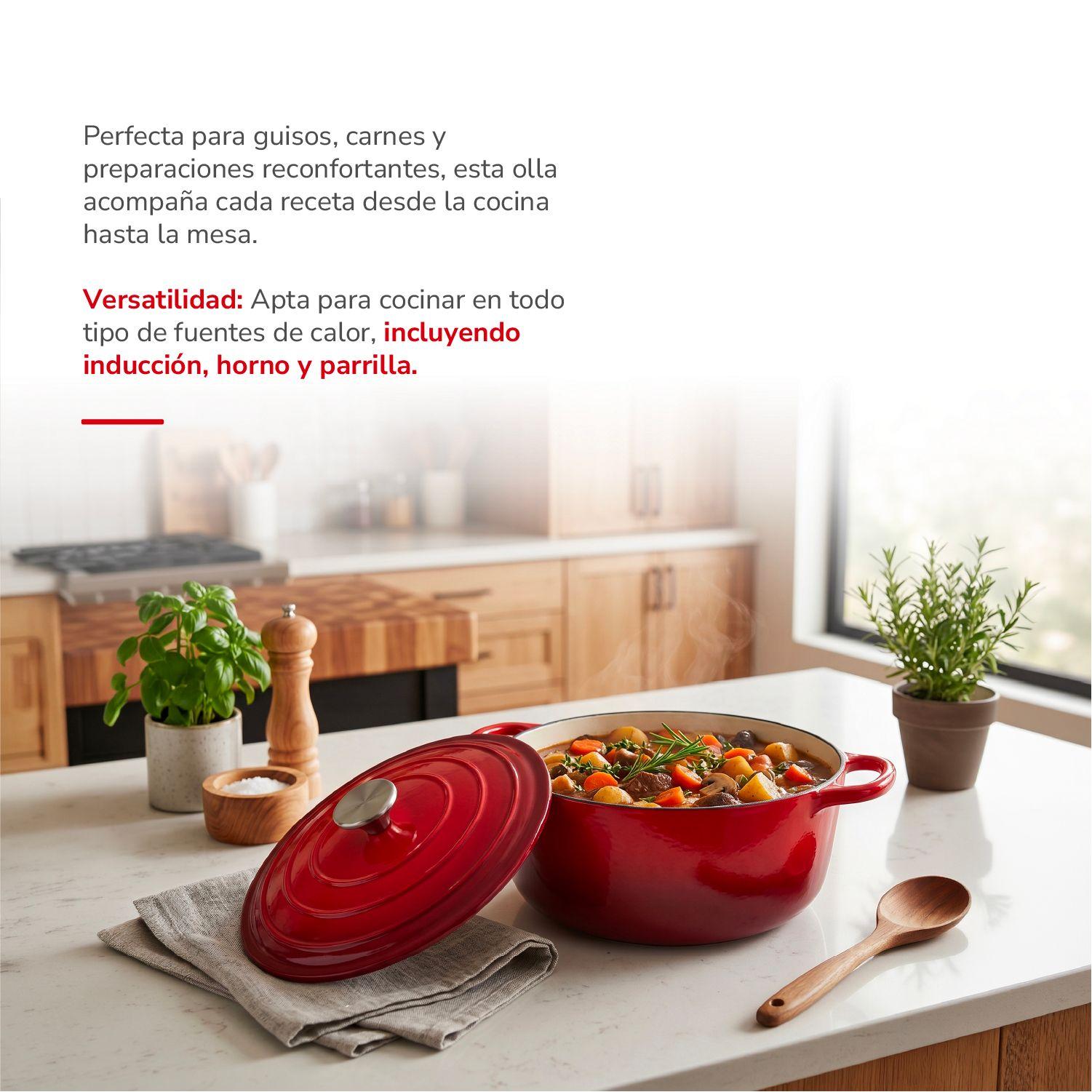 Olla Hierro Fundido 24cm TH-MCA24R-2