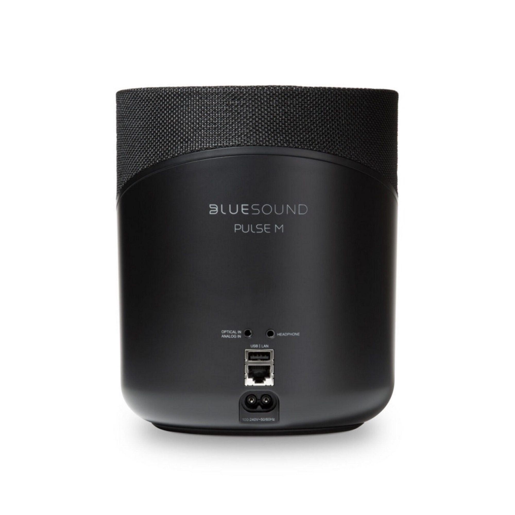 Parlante Bluetooth Bluesound Pulse M-1