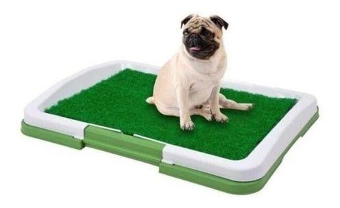 Baño Para Cachorros, Alfombra Pasto Sintetico, Perros-2