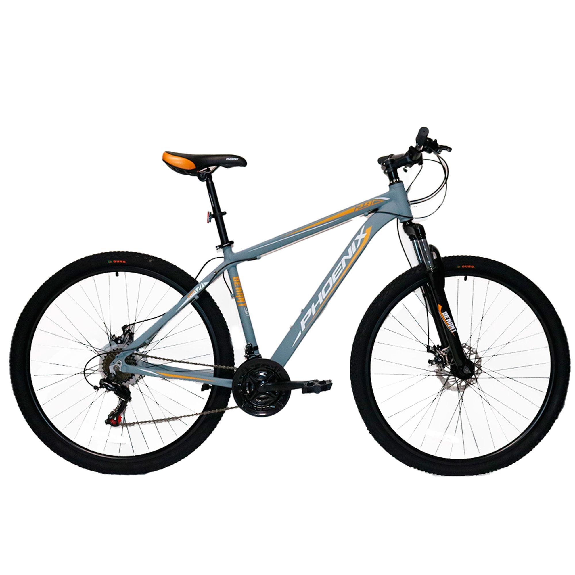Bicicleta Phoenix MTB Aro 29" 21 Velocidades Freno Disco Gris-0
