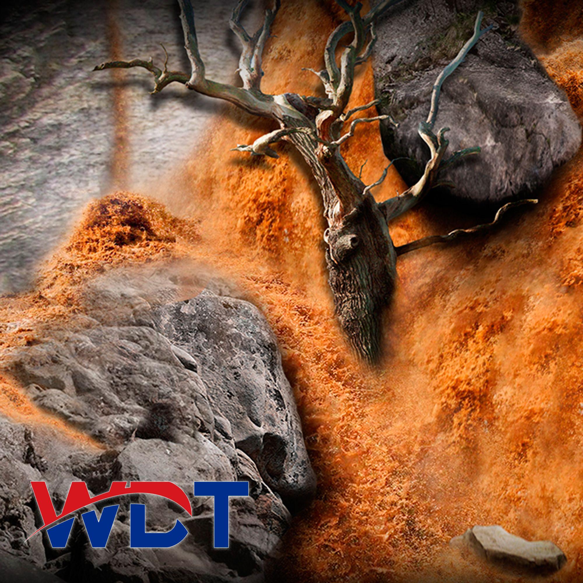 Neumático Wanda Bicicleta P1001 16x1.95 Negro-2