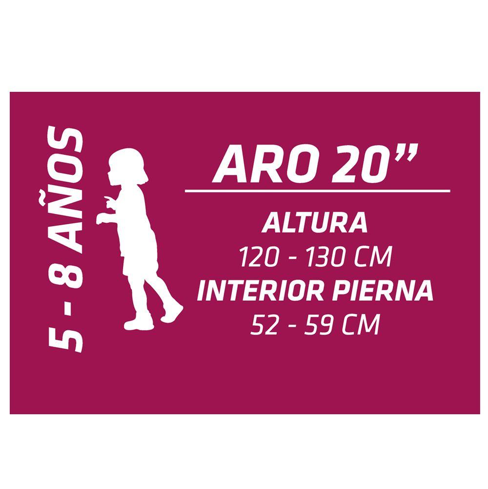 Bicicleta Royal Baby FR Aro 20-2