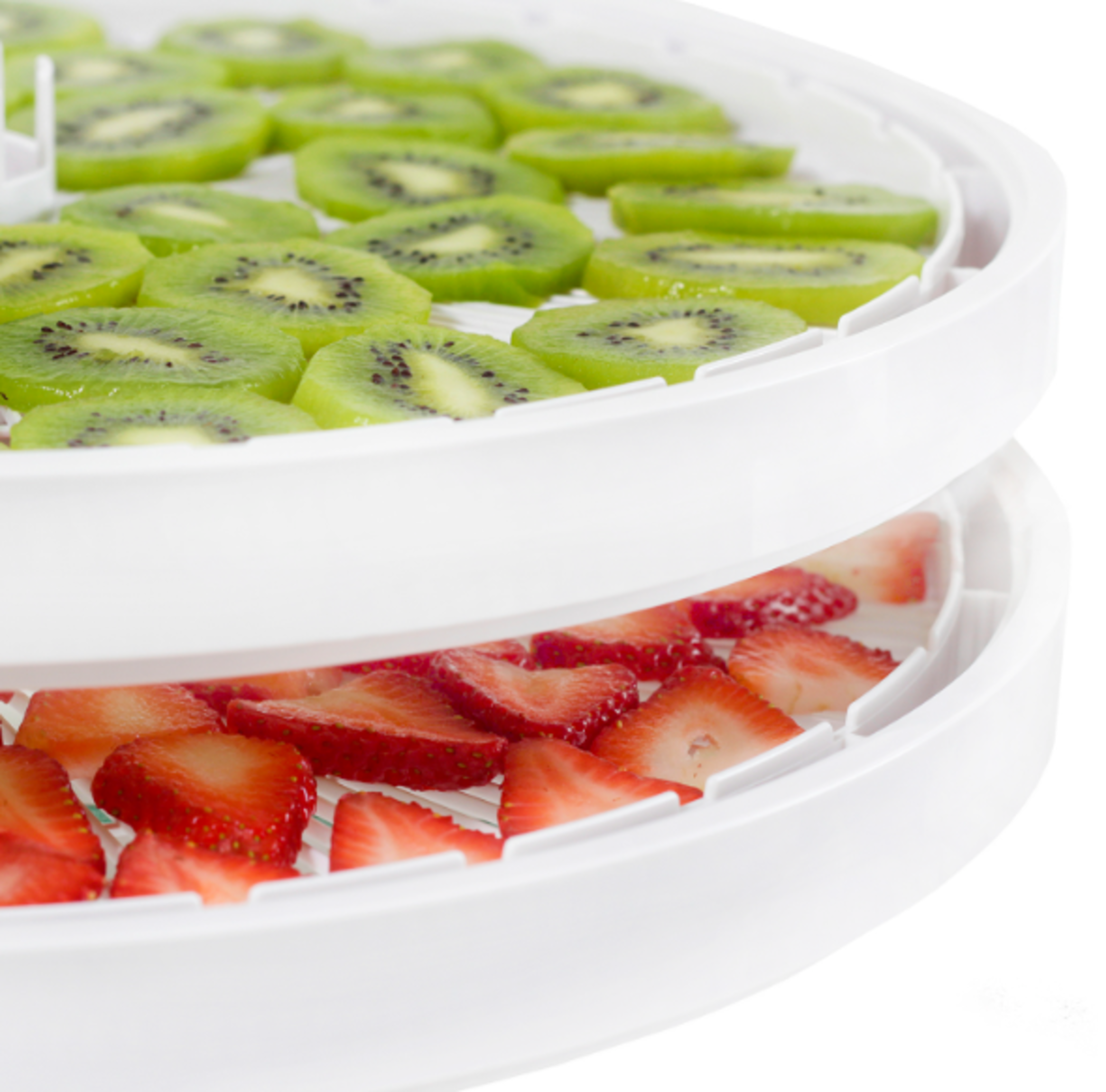 Deshidratador De Alimentos Ezidri Ultra Fd1000-2
