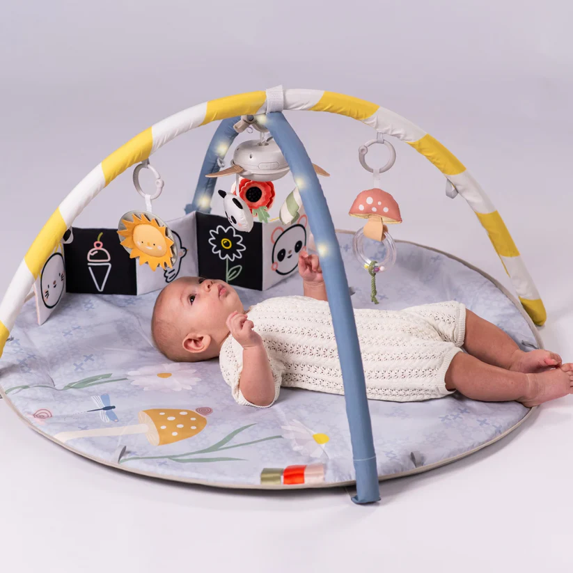 Gimnasio de Actividades Melody Bloom Taf Toys-2
