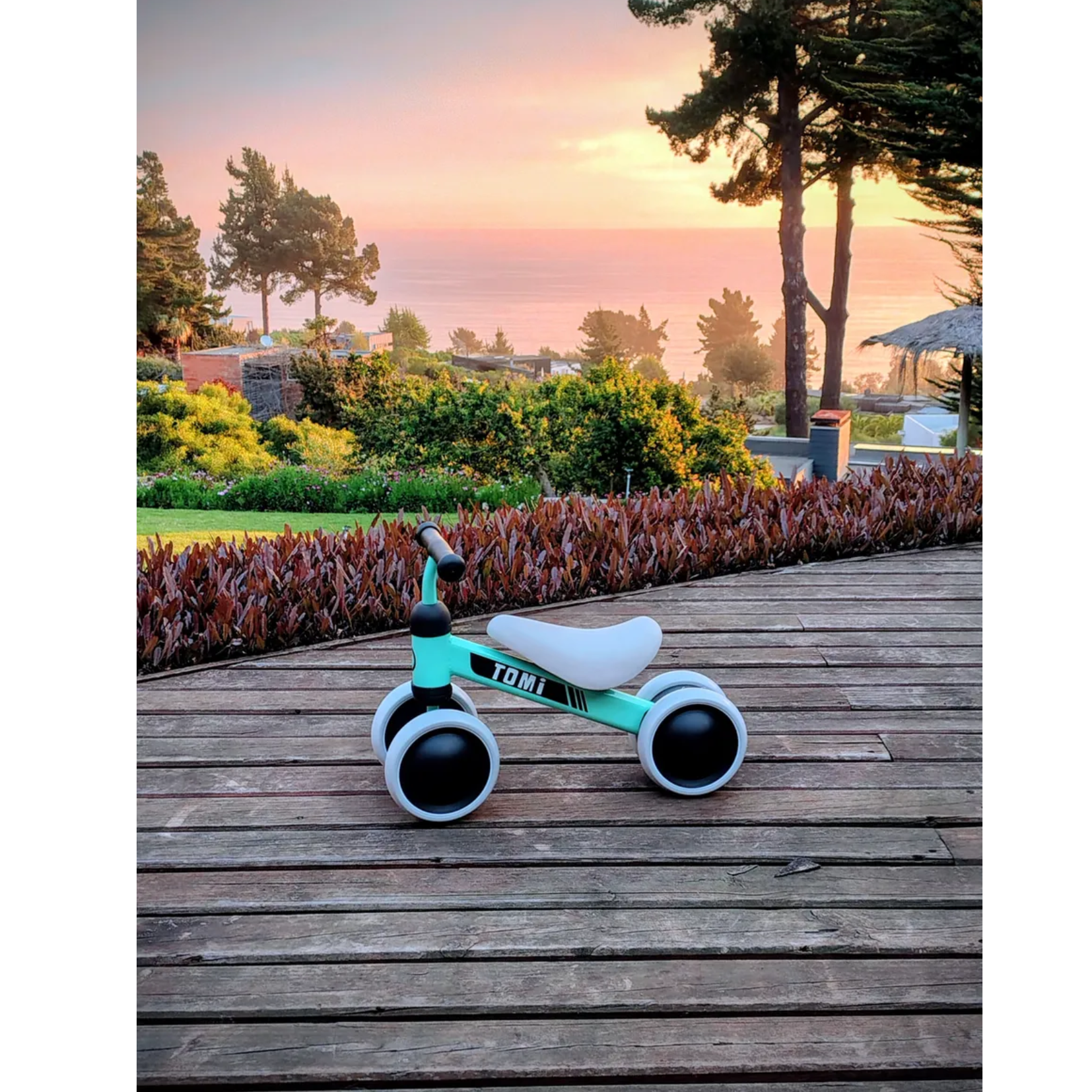 Triciclo Tomi Miniride 10 A 24 Meses-6