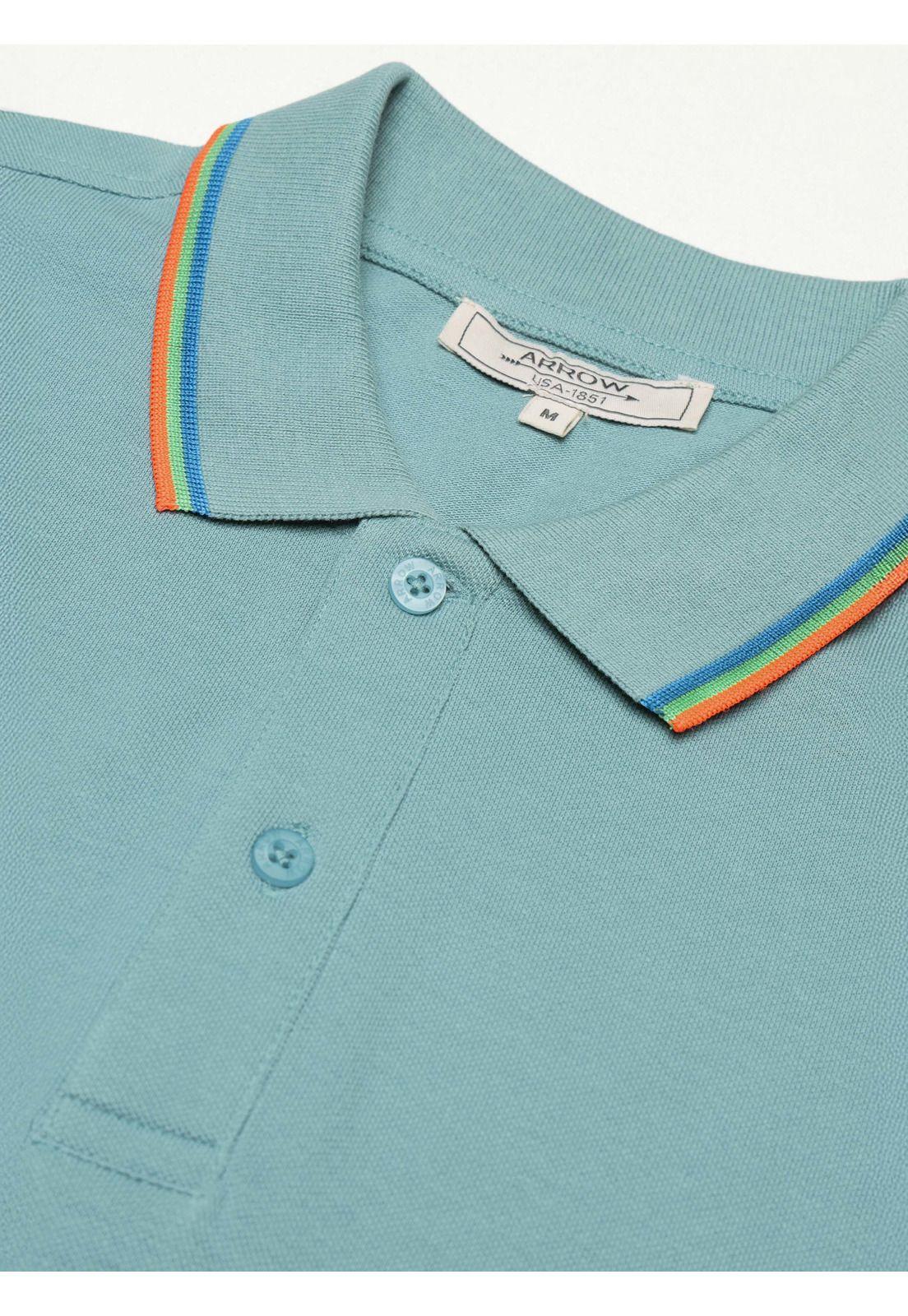 Polera Pique Regular Fit Verde Claro Arrow PO34038AQ-4