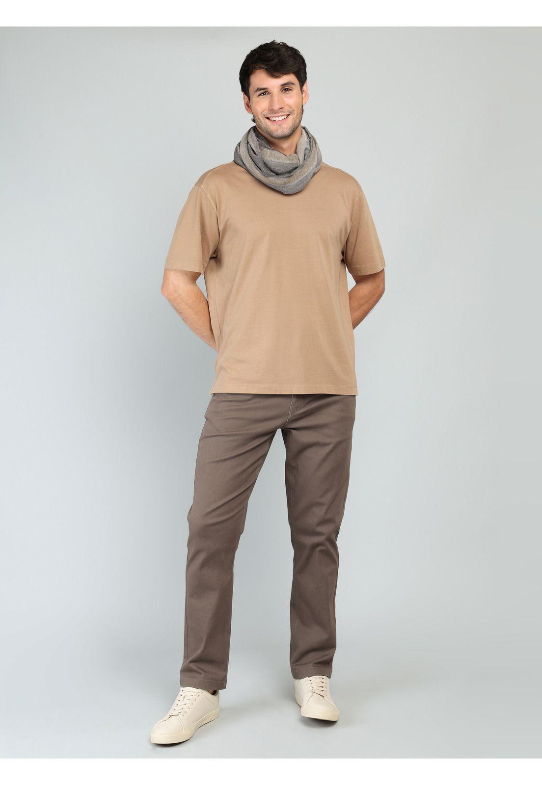 Polera Lisa Stone Wash Regular Fit Café Arrow PO33074CA-3