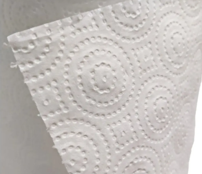 Toalla dePapel Doble Hoja Prepicada 120m Pack 2 rollos-2