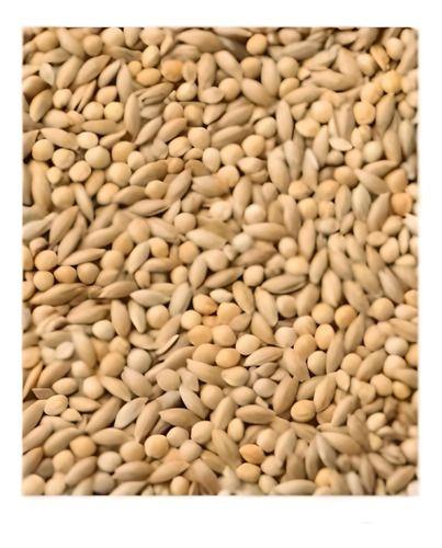 Mezcla Catas Catitas Aves Mixtura De Semillas Mp004    500gr-0