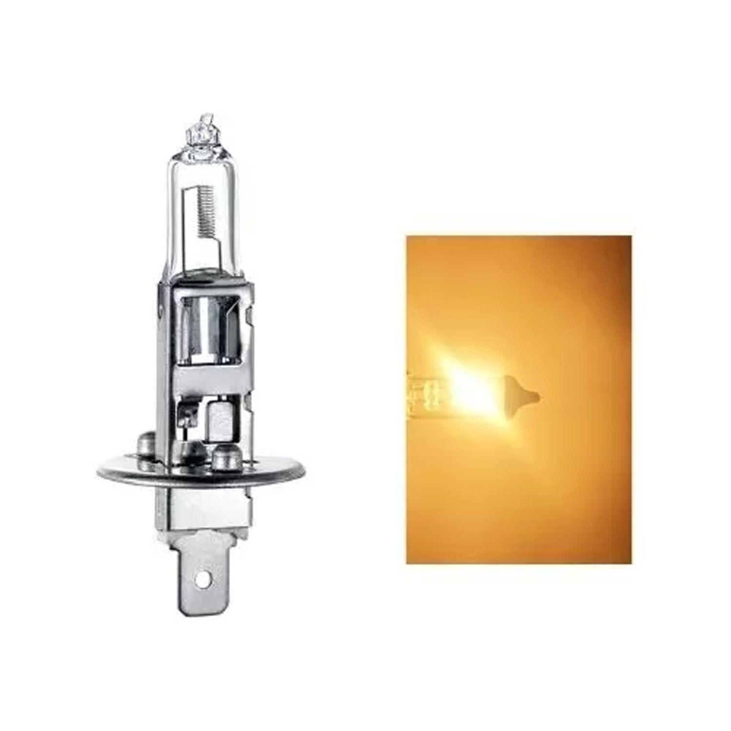Ampolleta Halogena H1 12v 60/55w Normal Pack 10 Unidades-3