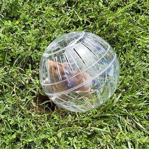 Bola Esfera Hámster 12cm  Roedores Ratoncito 30883-2