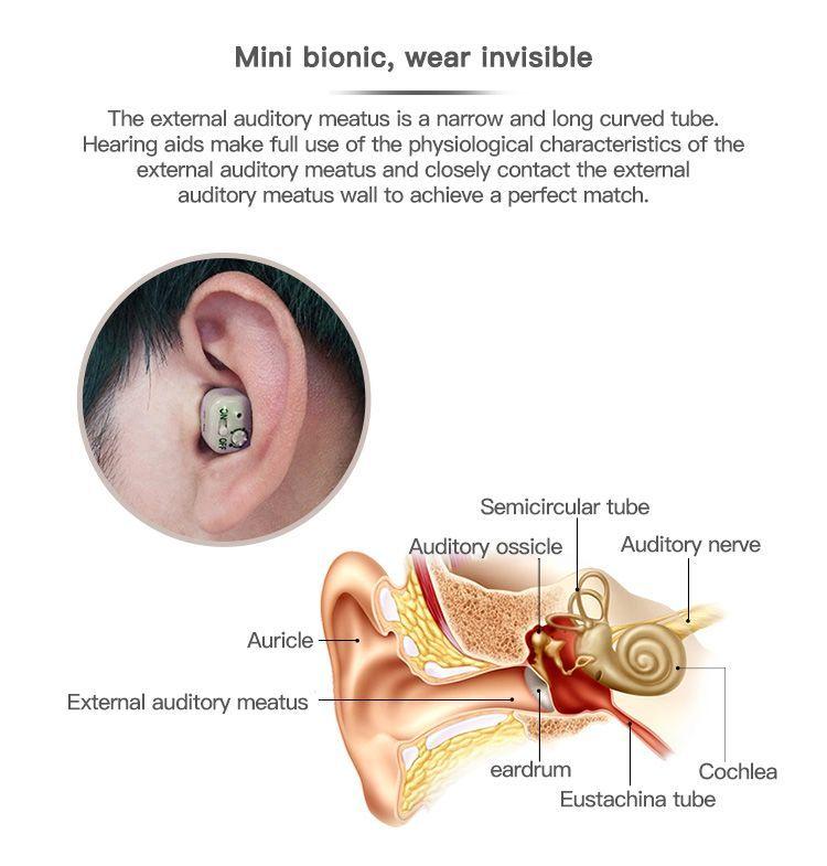 Audifonos Ortopedicos Recargables para Sordos Invisibles-7