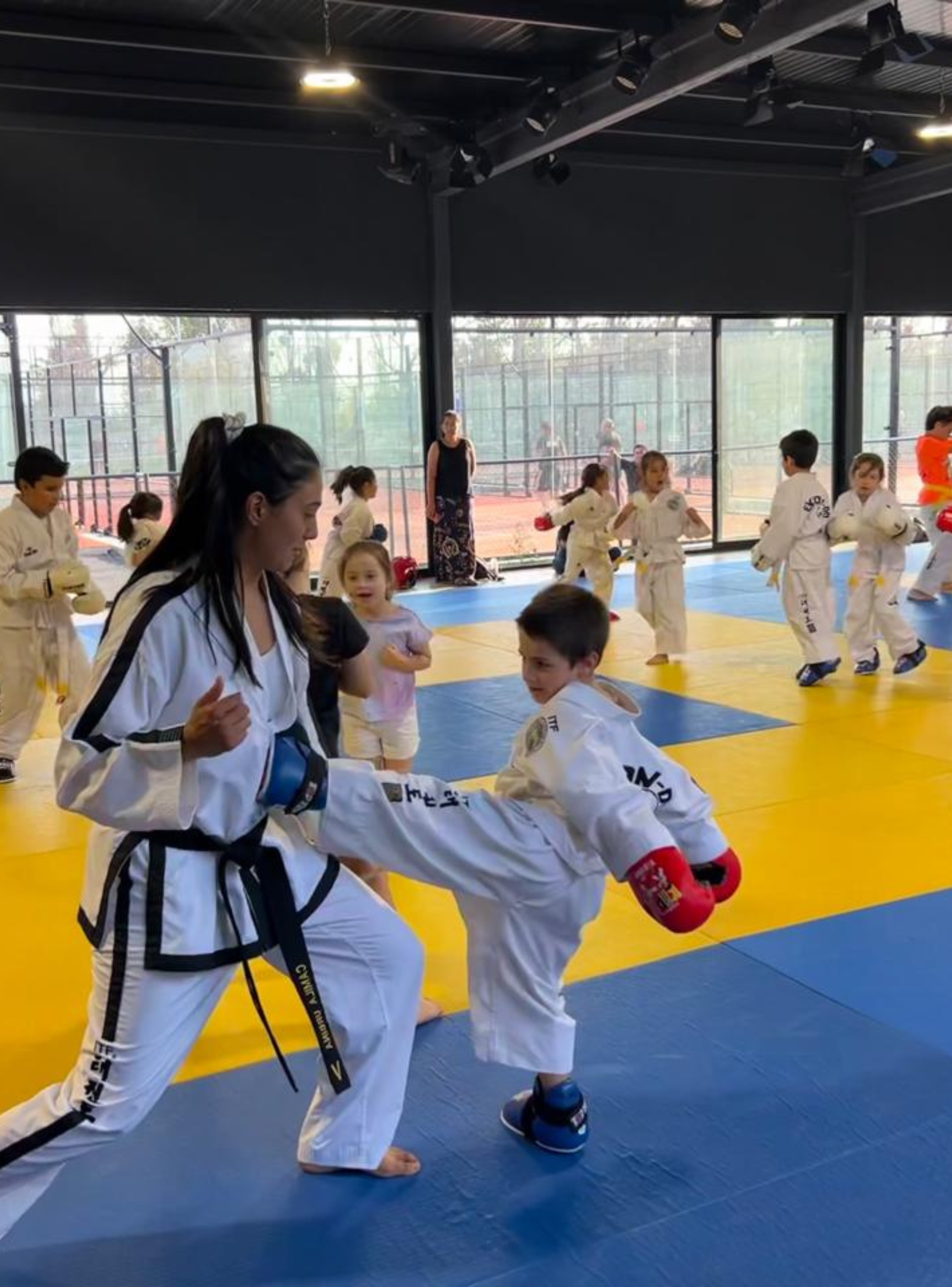 Taller de Taekwondo-0