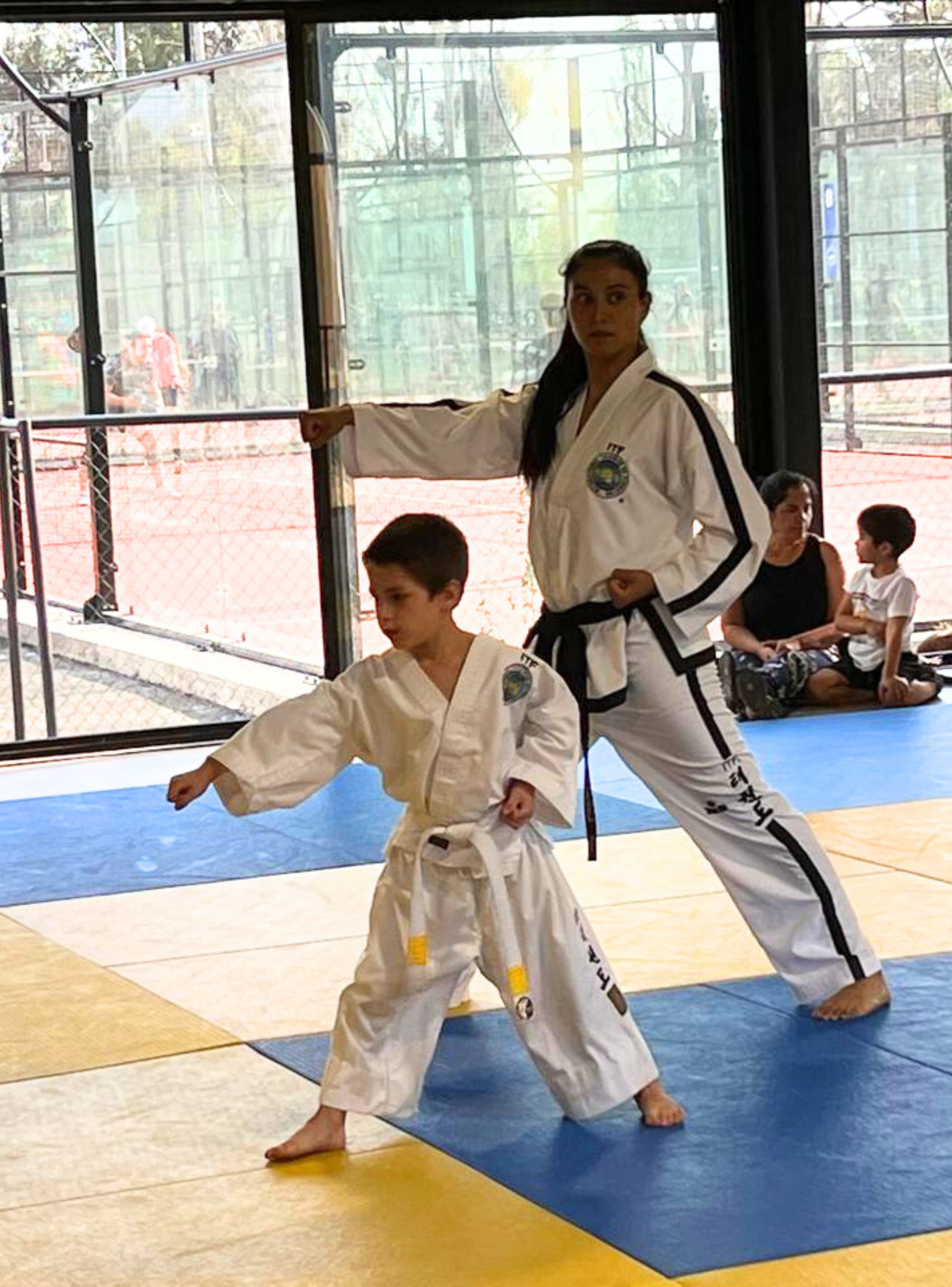 Taller de Taekwondo-2