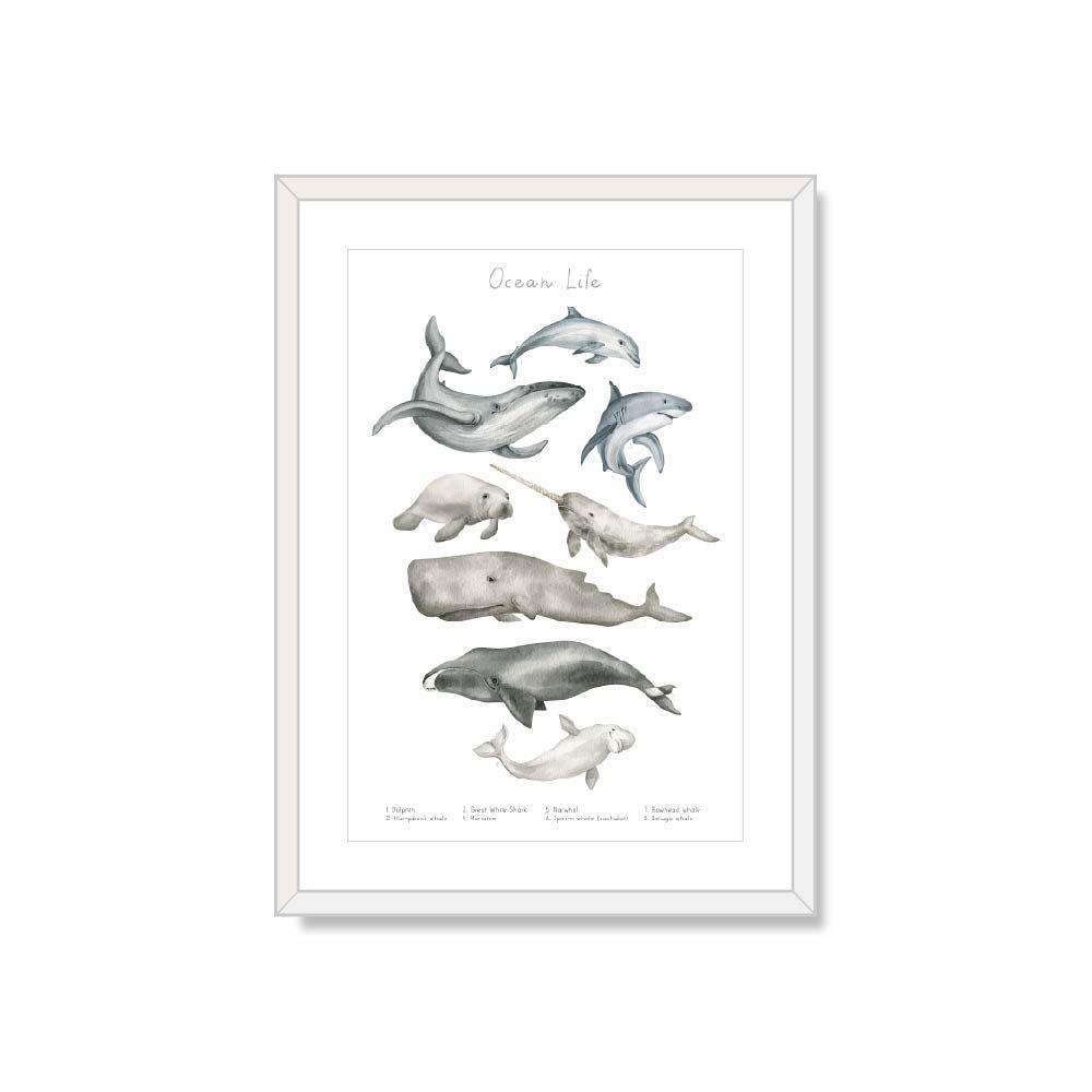 cuadro decorativo Acuario life 50x70-0