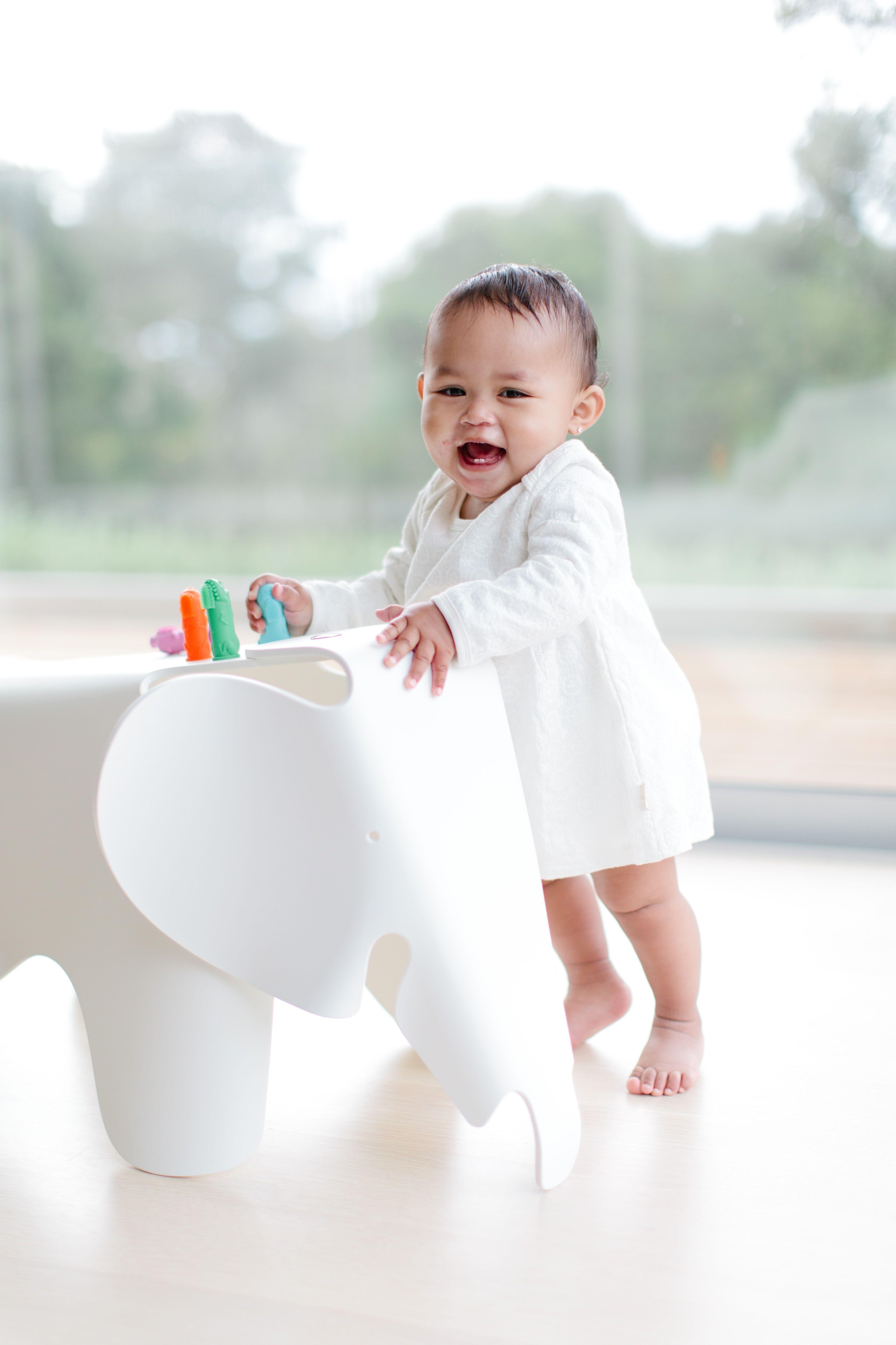 Cepillo Dientes y Títere - Chomps-3