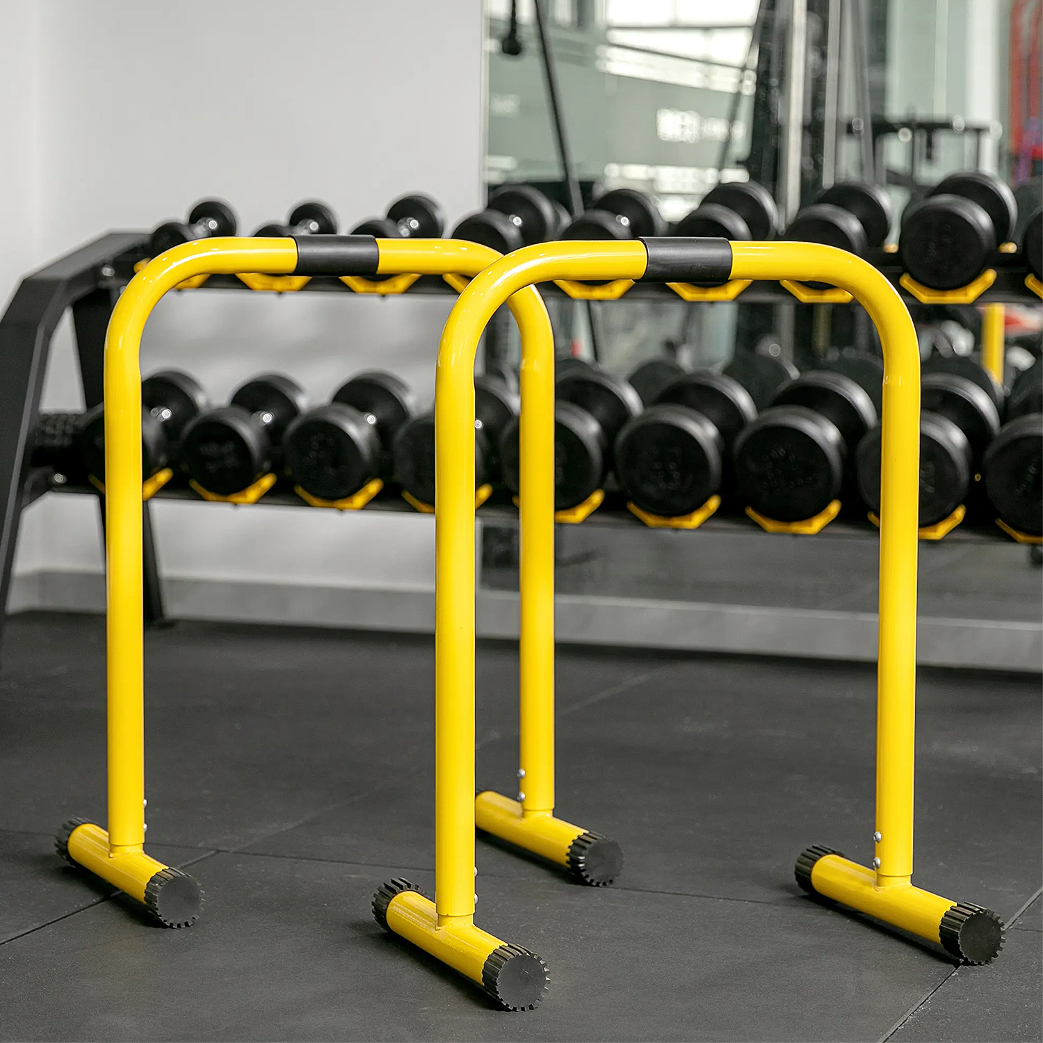 Barras Paralelas Fitness Leberts Calistenia-6