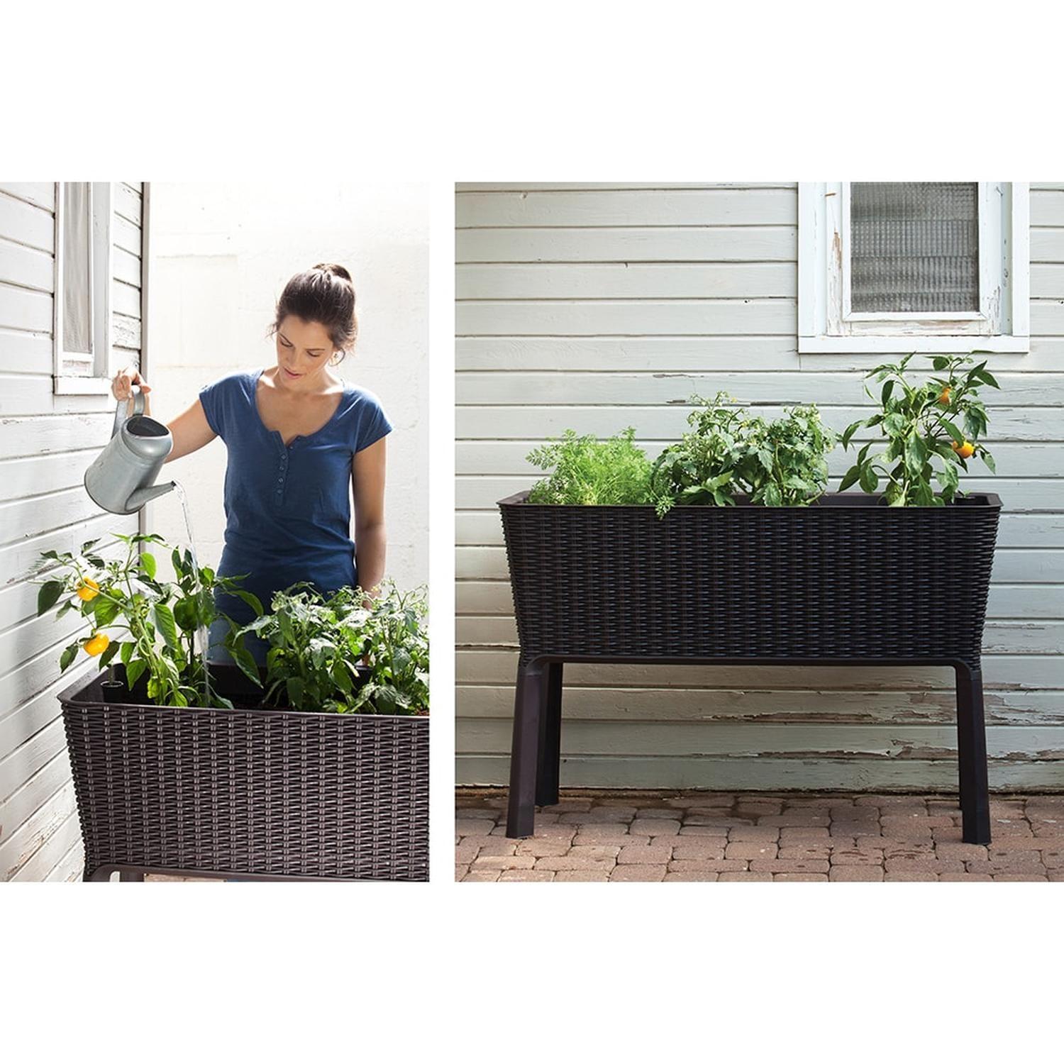 Jardinero Macetero Huerto Easy Grow Keter-2