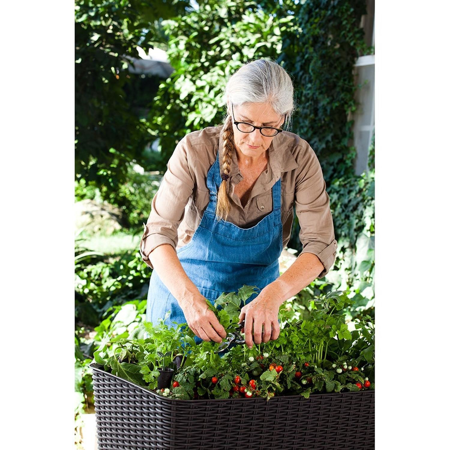 Jardinero Macetero Huerto Easy Grow Keter-3