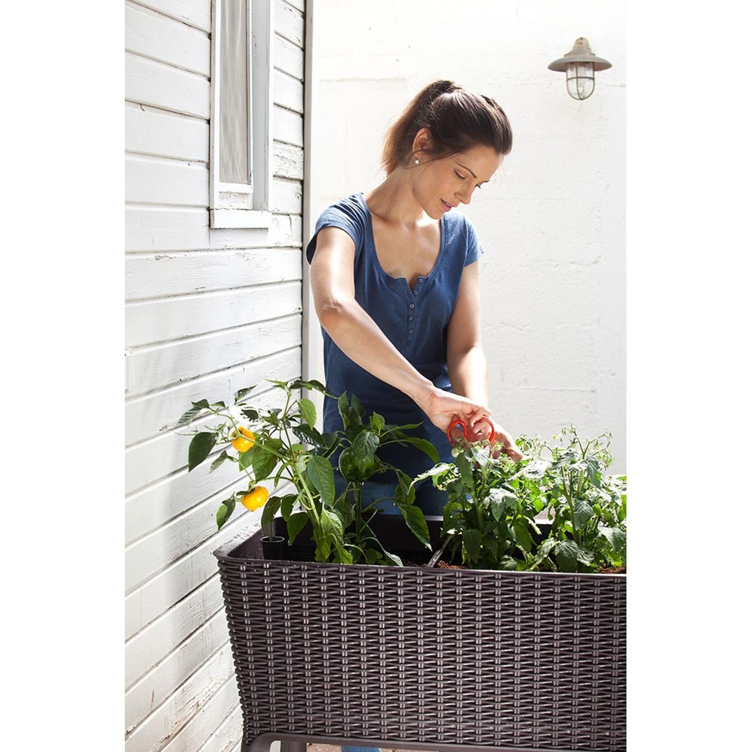 Jardinero Macetero Huerto Easy Grow Keter-4