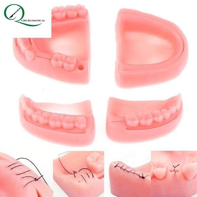 SIMULADOR DE SUTURA DENTAL-1