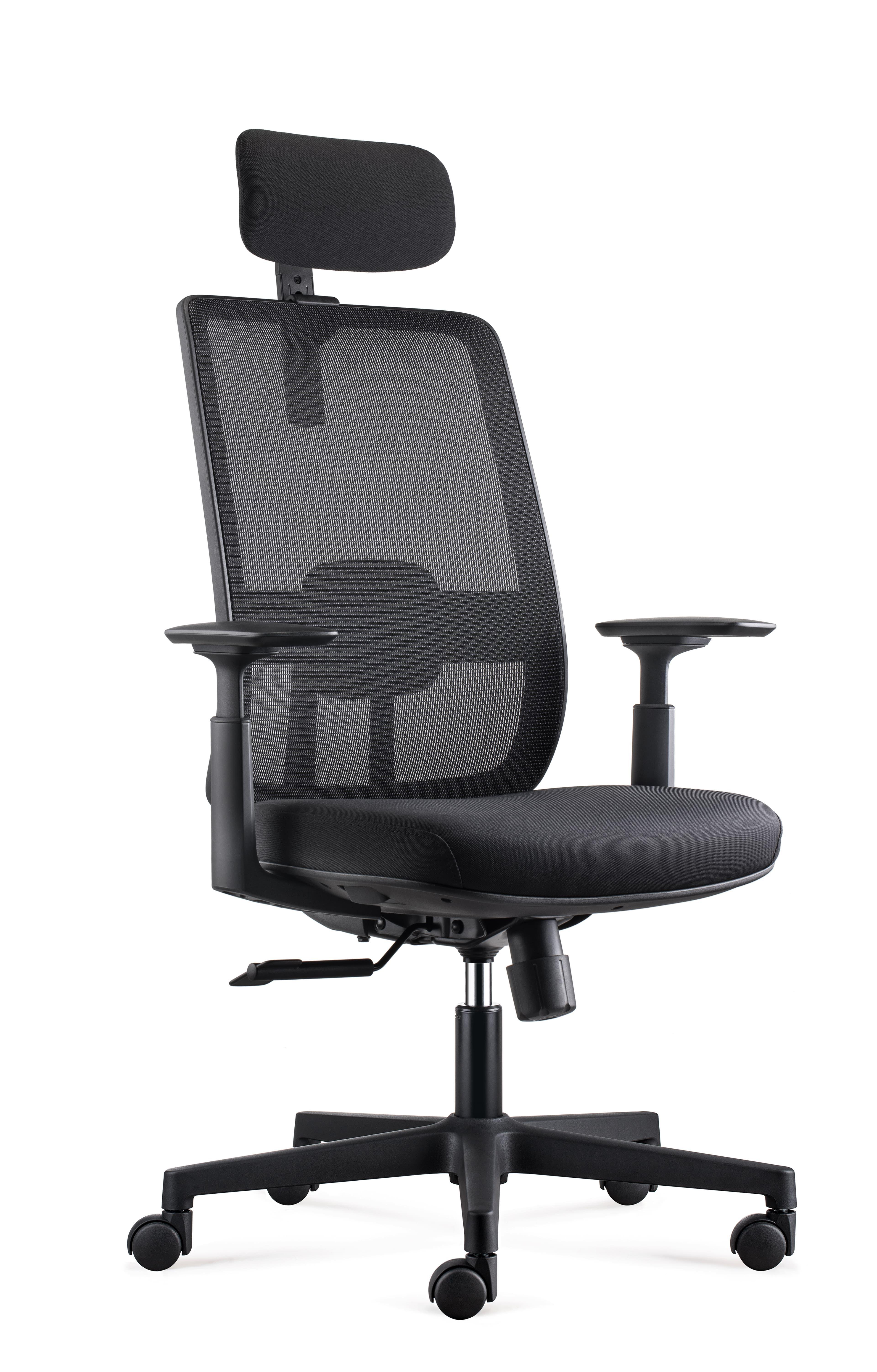 Silla profesional Eva-1