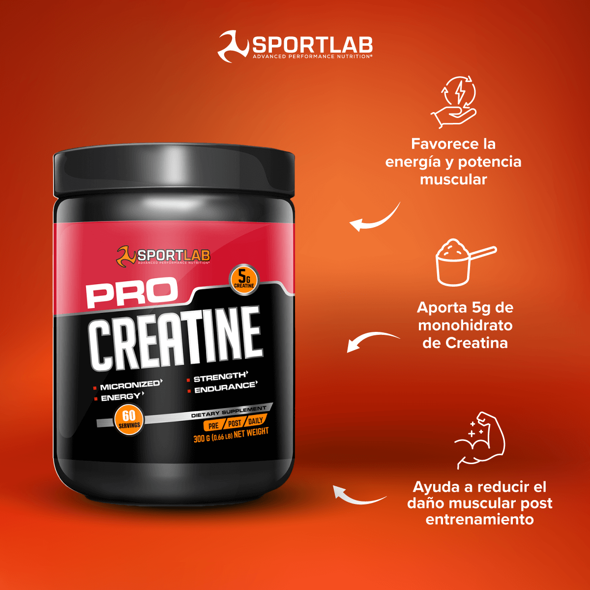 Creatina Sportlab PRO 300gr-2