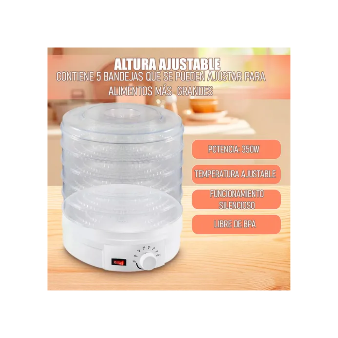 Deshidratadora de Alimentos y Frutas Eléctrica 350W-6
