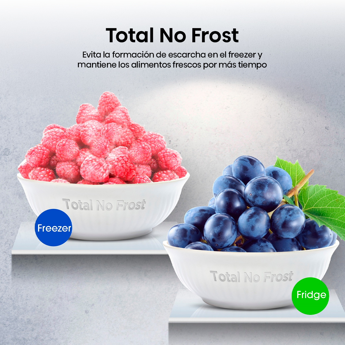 Bottom Freezer 304 Lt No Frost RB3N300NMDA-3