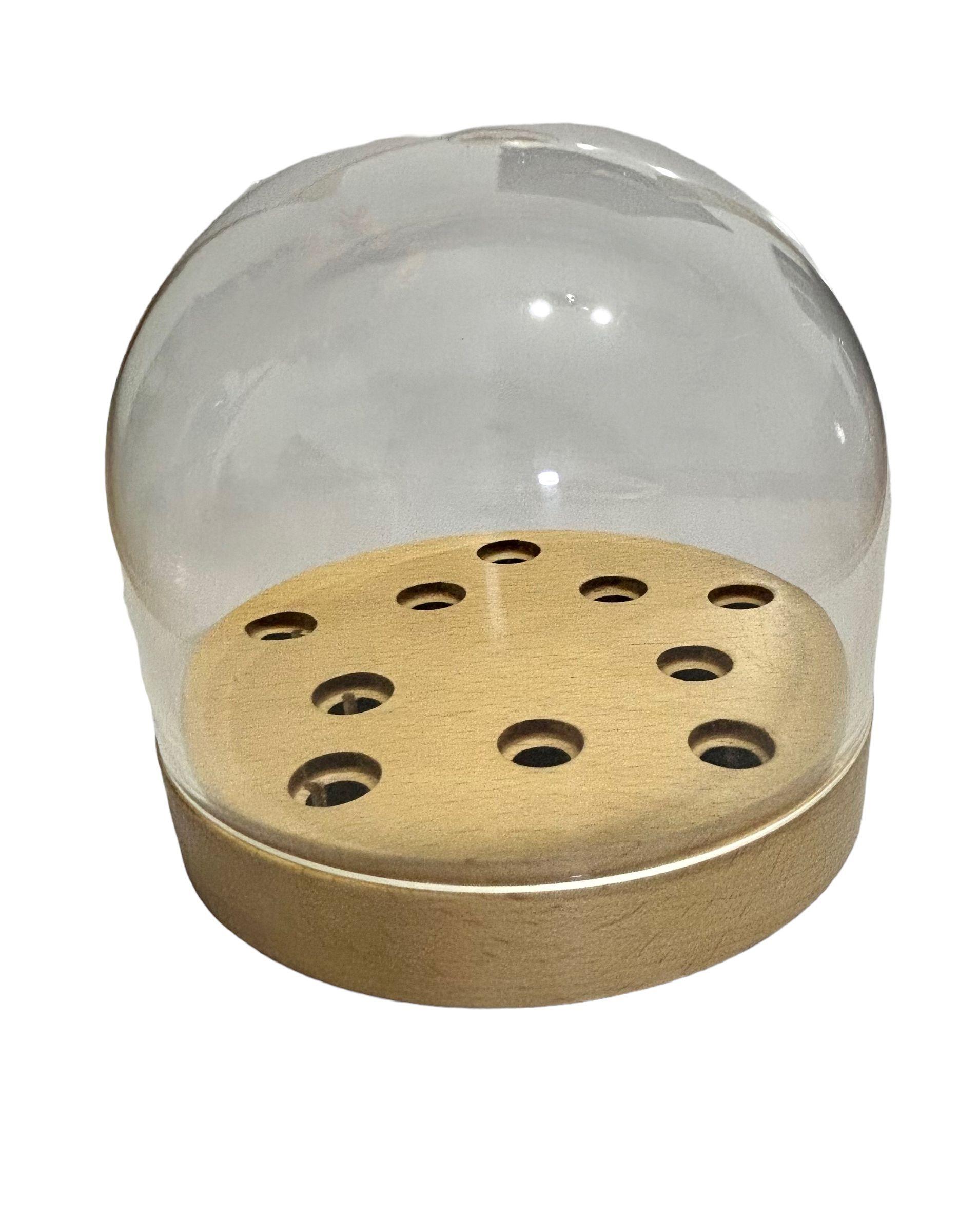 Porta Cápsula Domo Capacidad 10 Cápsulas de Tocadiscos Tornamesa-5