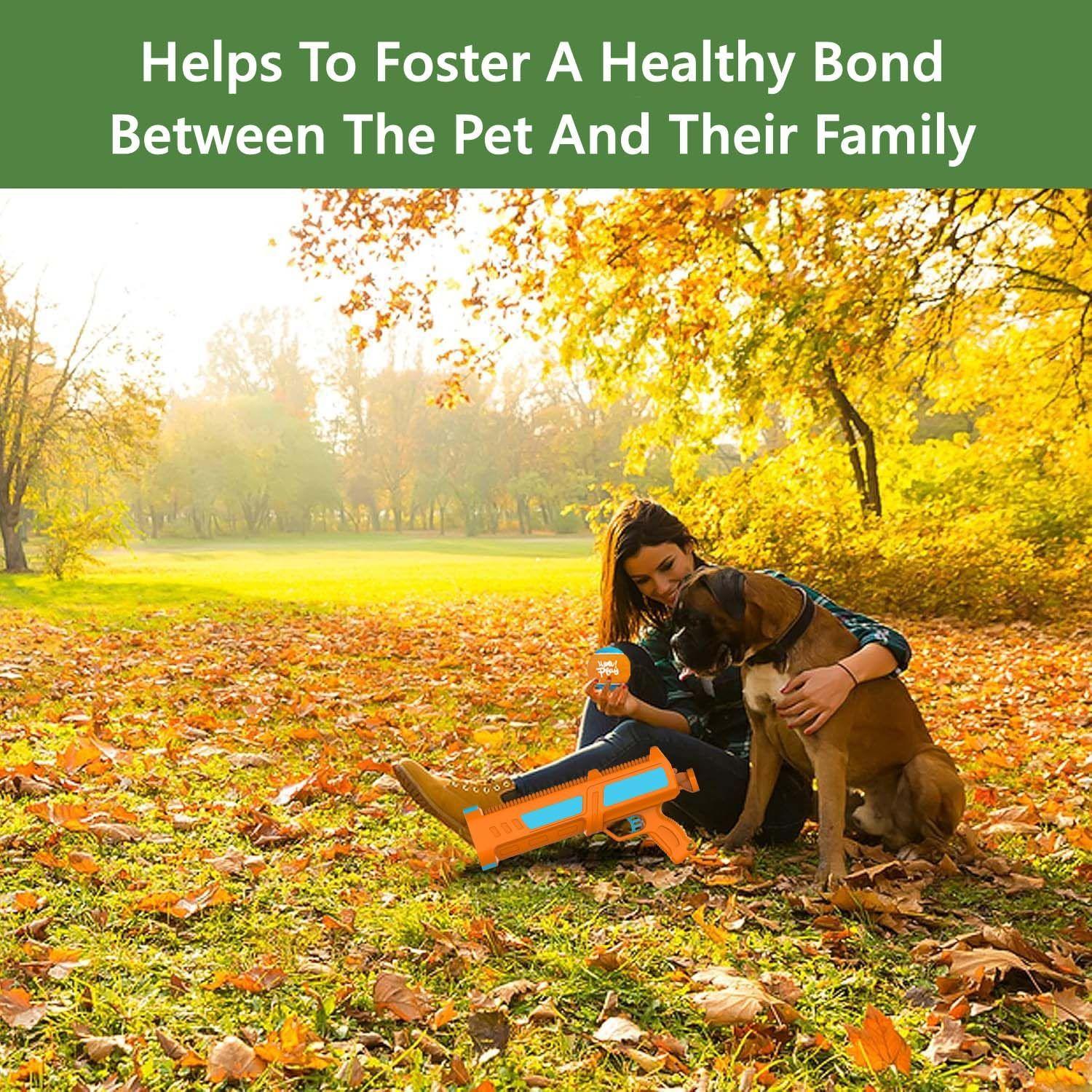 Pistola Lanzadora Pelotas Juguete Mascotas All For Paws-7