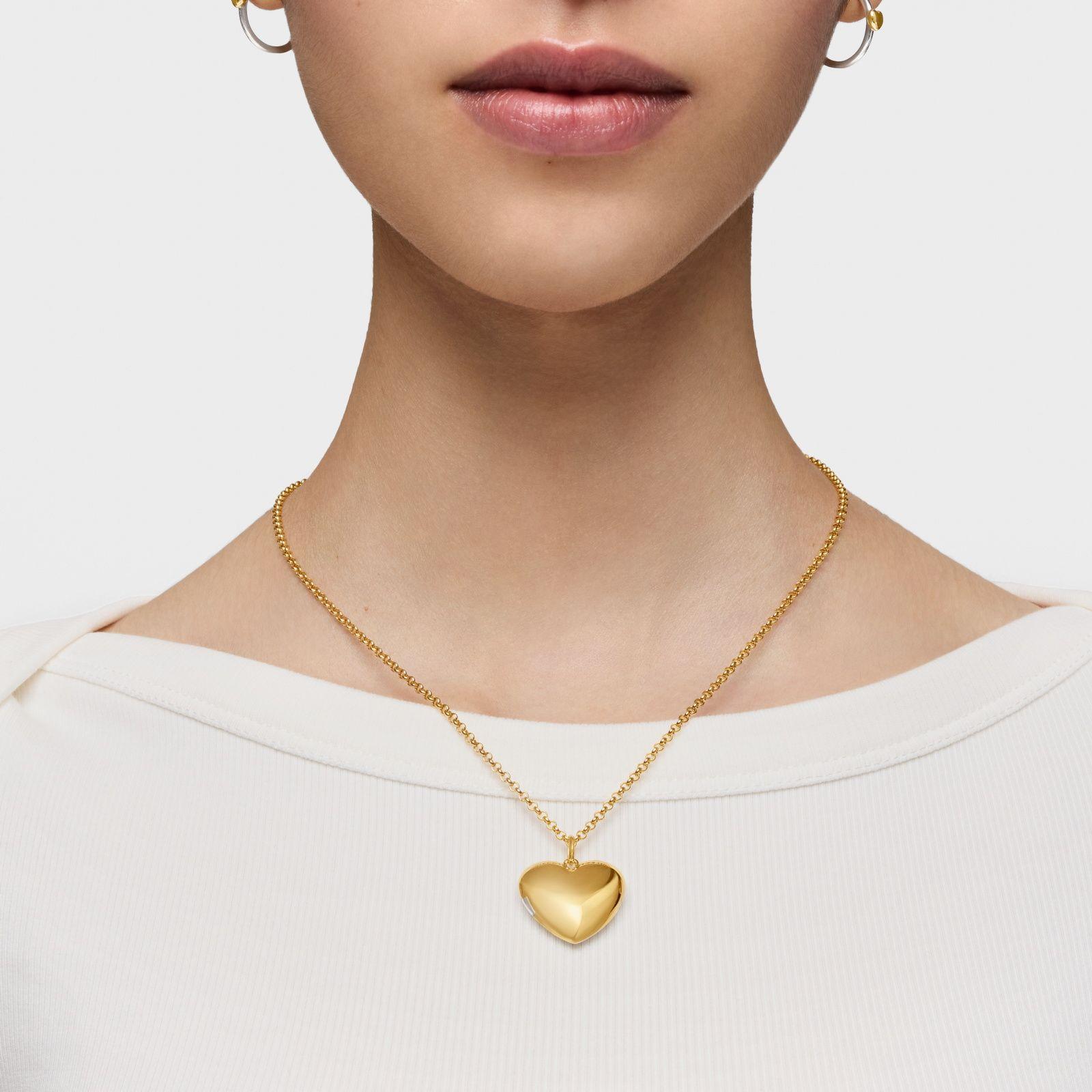 Colgante corazón bicolor Medallions-7