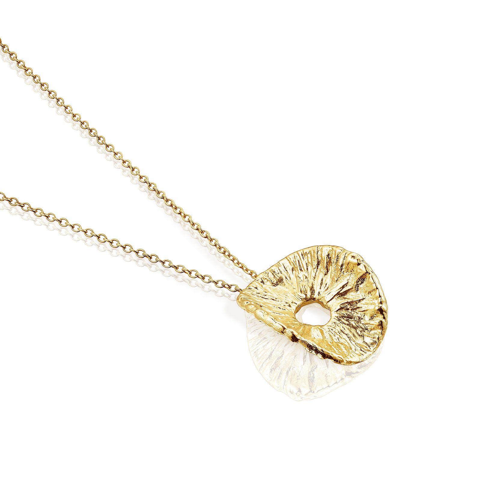 Collar de plata vermeil Wicker-2