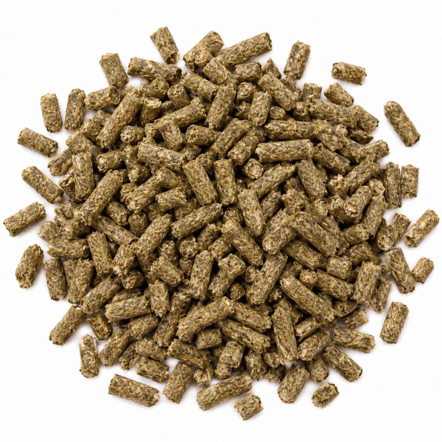 Alimento Cobayas Zupreem Timothy Naturals Con Vitamina C 1 6 kg-2