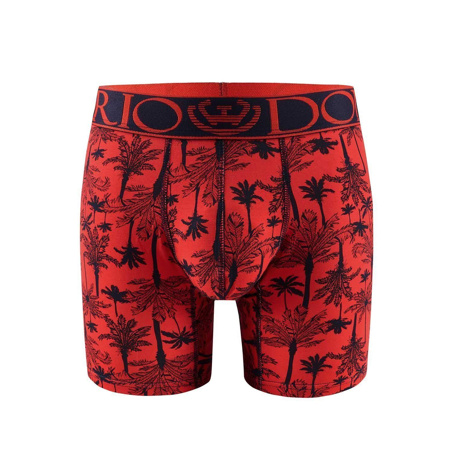 Pack de 4 Boxer Medio Algodón Hombre Giovacchino-2