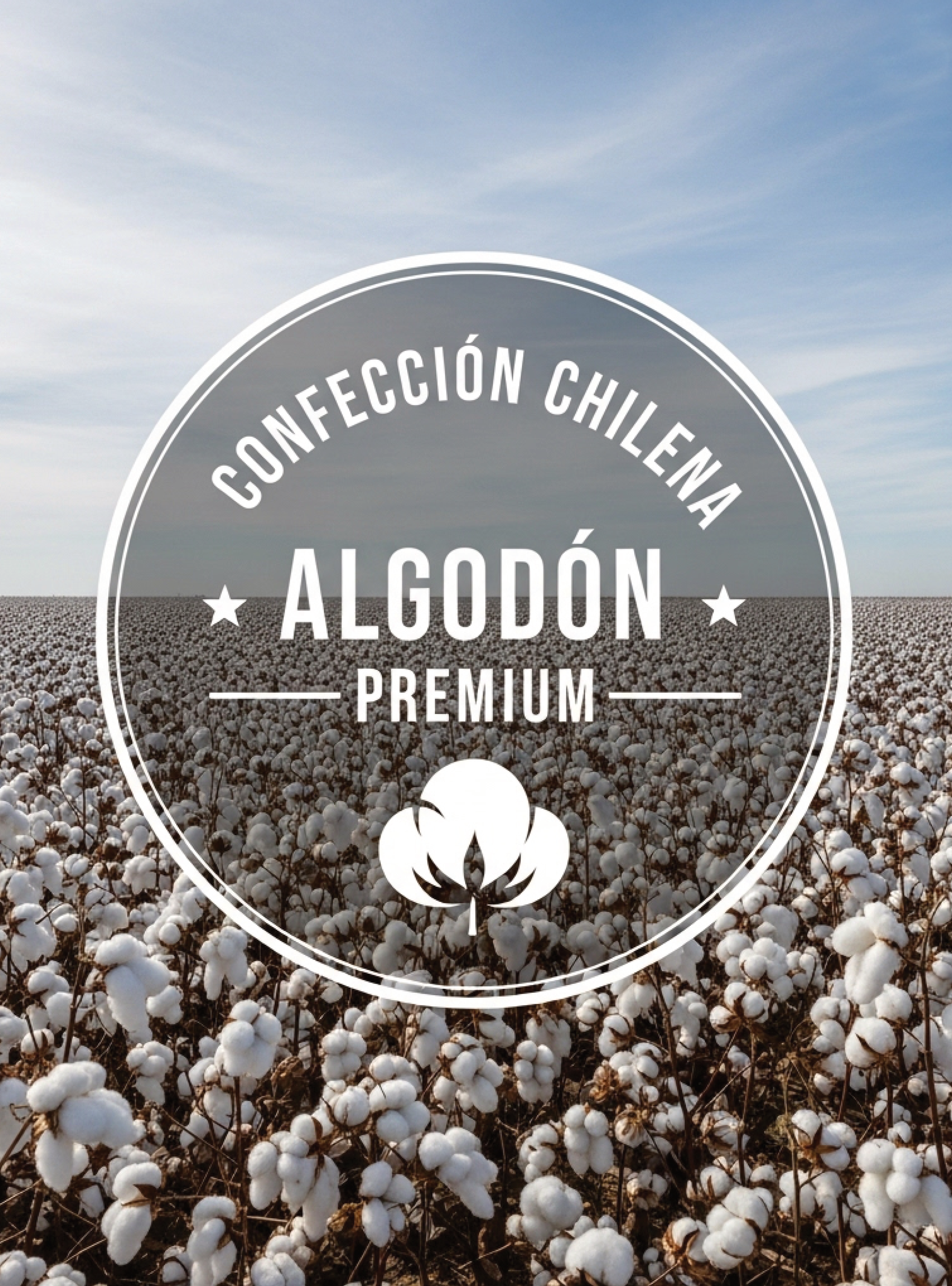 Polera de hombre overzise algodón gamuza-5