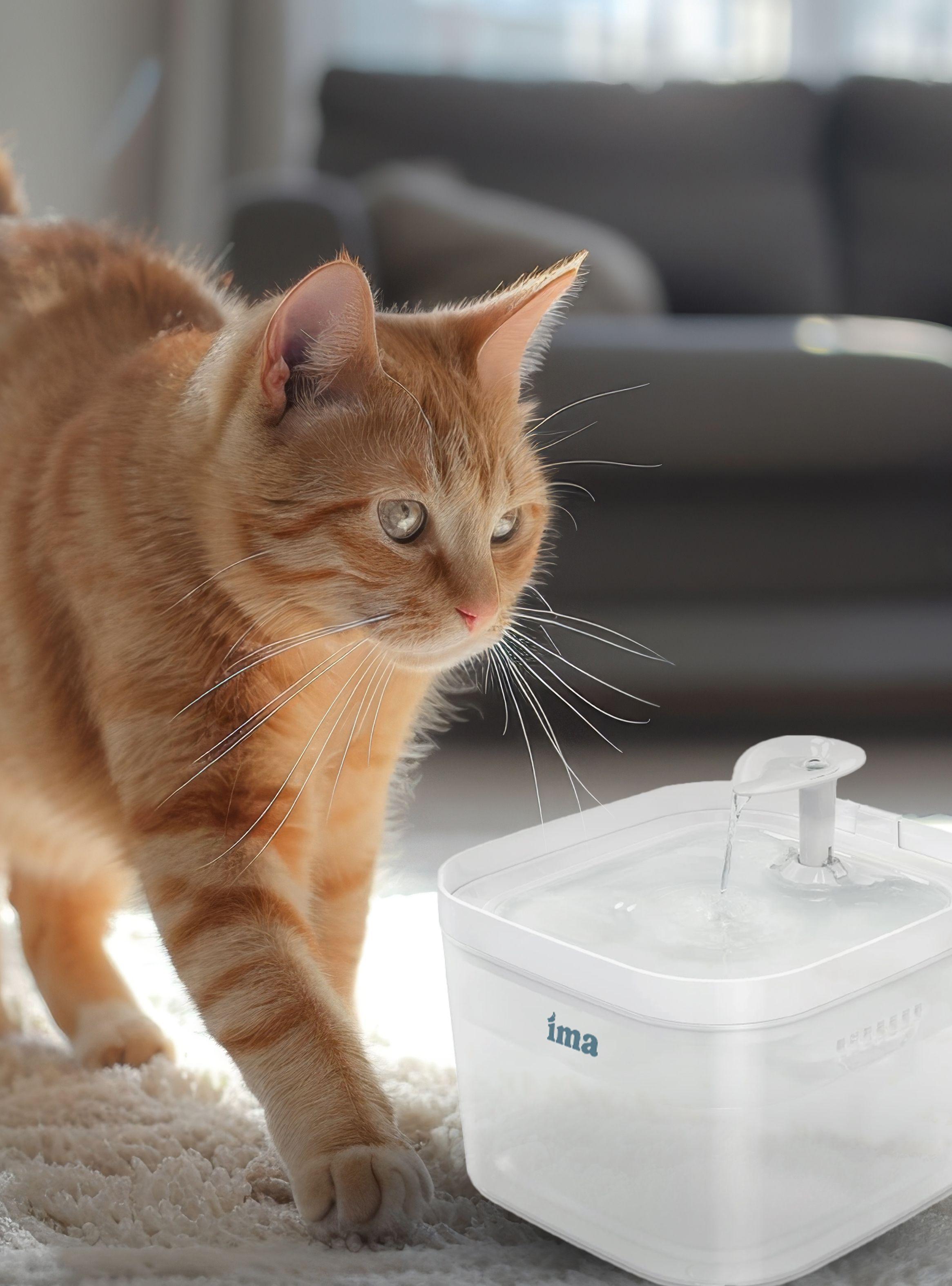 Fuente de Agua Inteligente para Mascotas  IMA -3