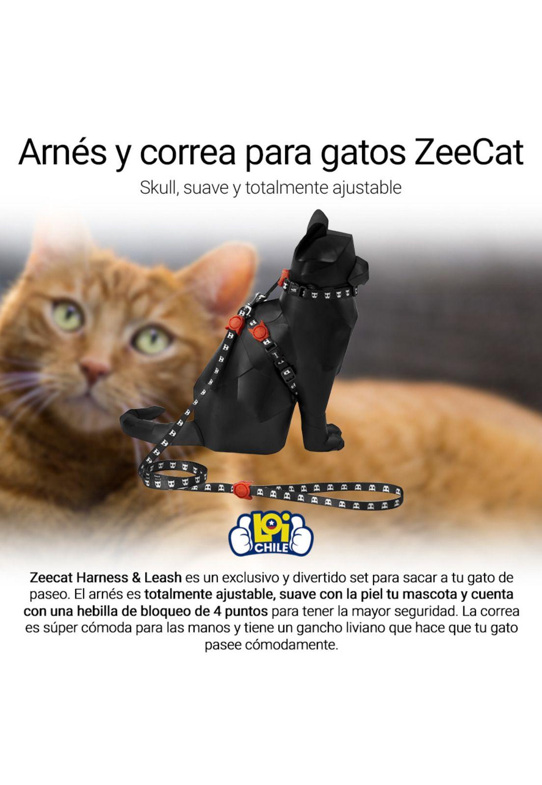 Arnes + Correa para Gato ZeeCat Skull-1