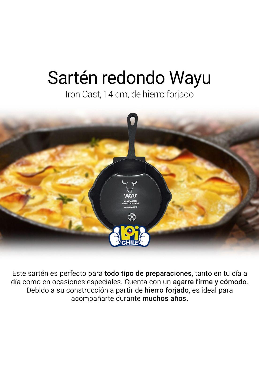 Sartén Redondo de Hierro Wayu Iron Cast-1