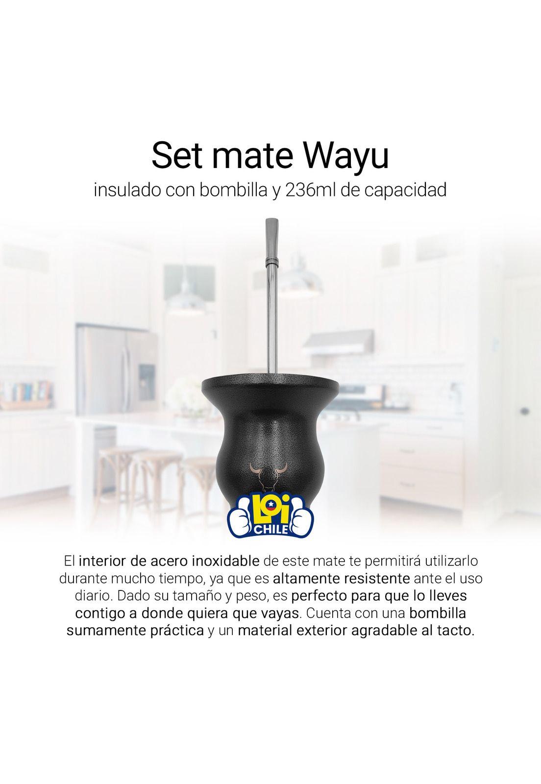 Set Mate Insulado + Bombilla Acero Inoxidable Wayu 236ml-1