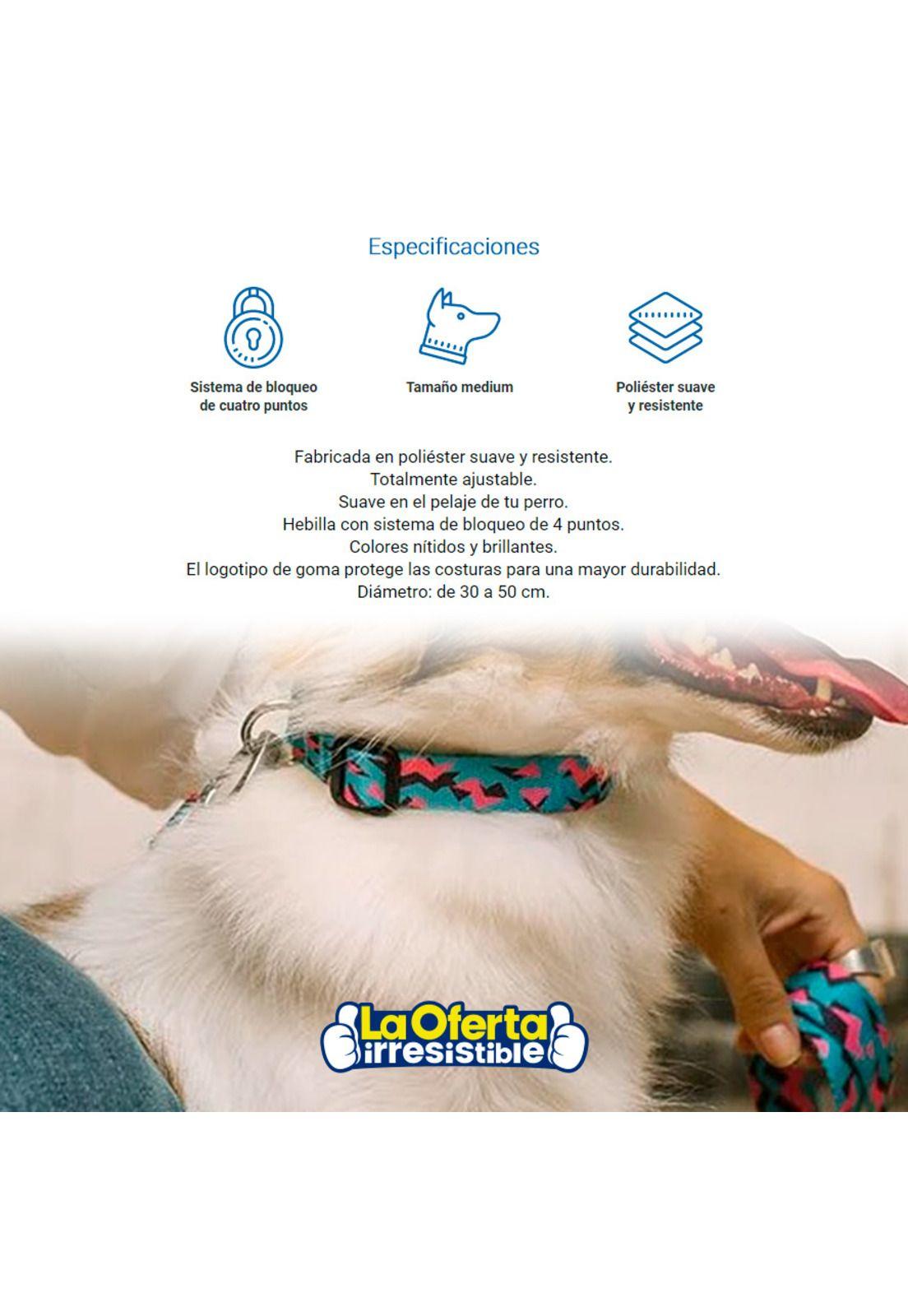 Collar Para Perro Crosby Medium Zeedog-2