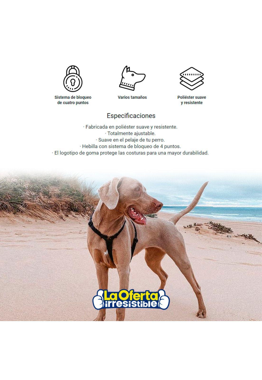 Arnes para Perro H-Harness Gotham ZeeDog-2