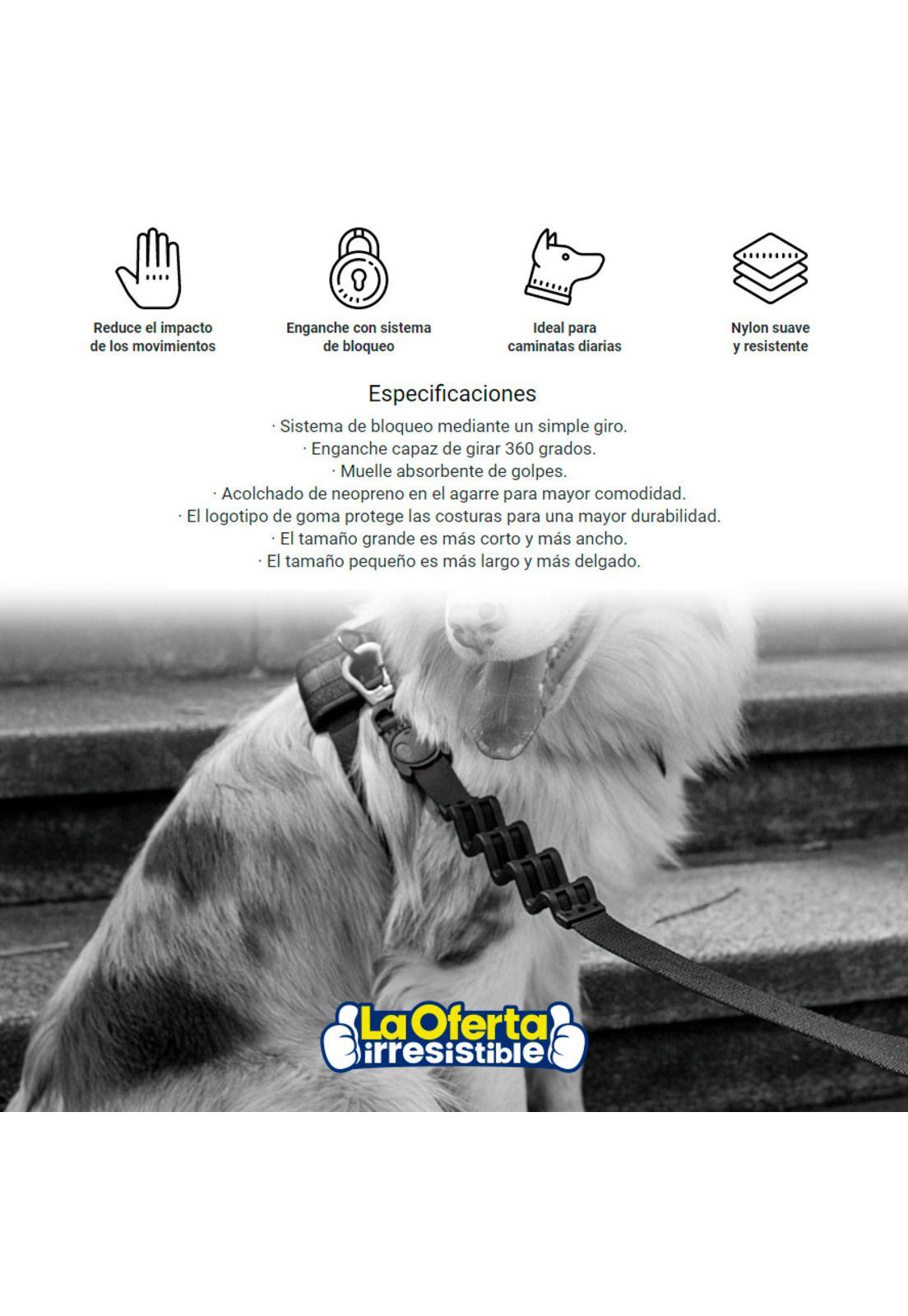 Correa para Perro Gotham ZeeDog-2