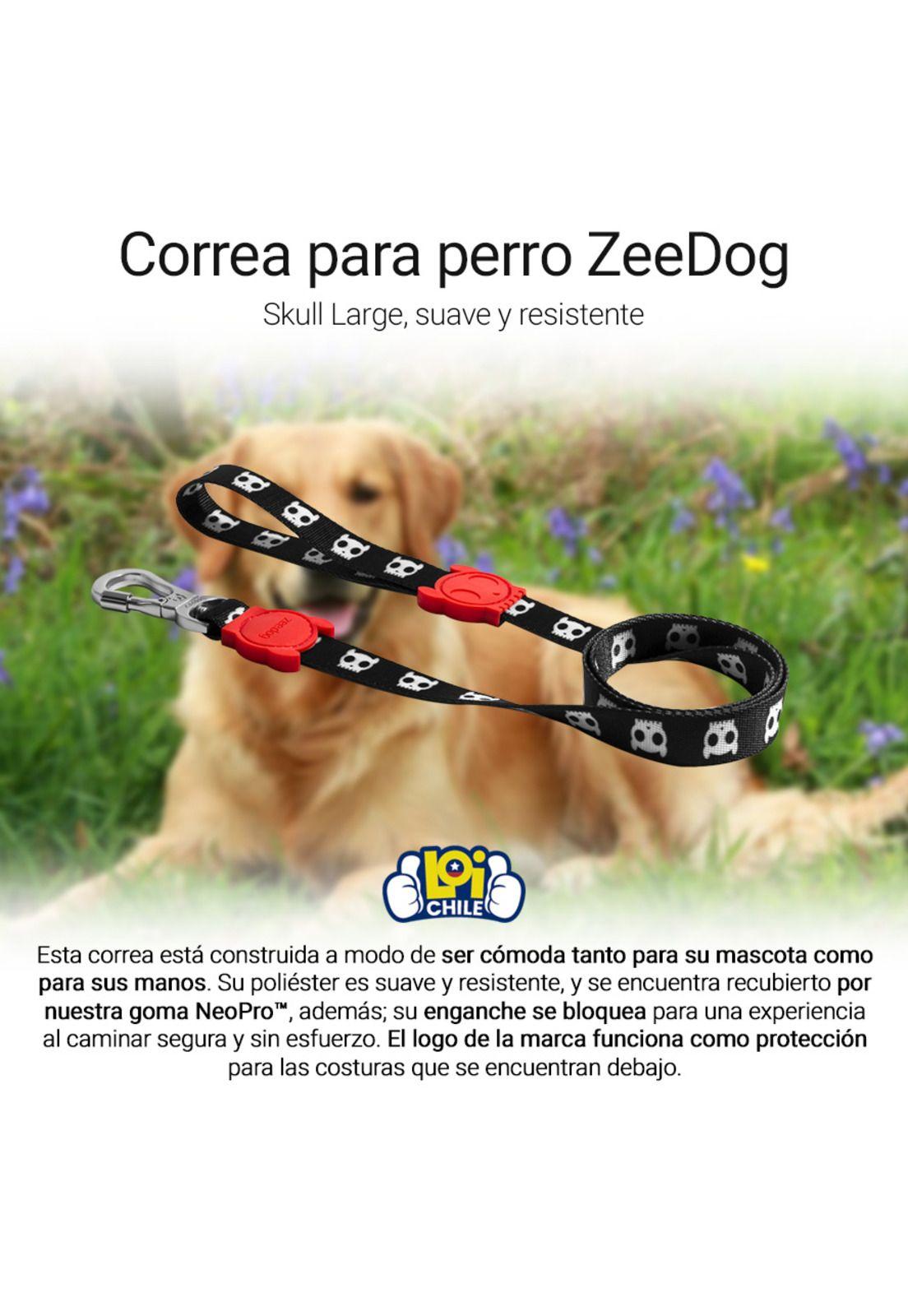 Correa Para Perro ZeeDoog Skull Large-1