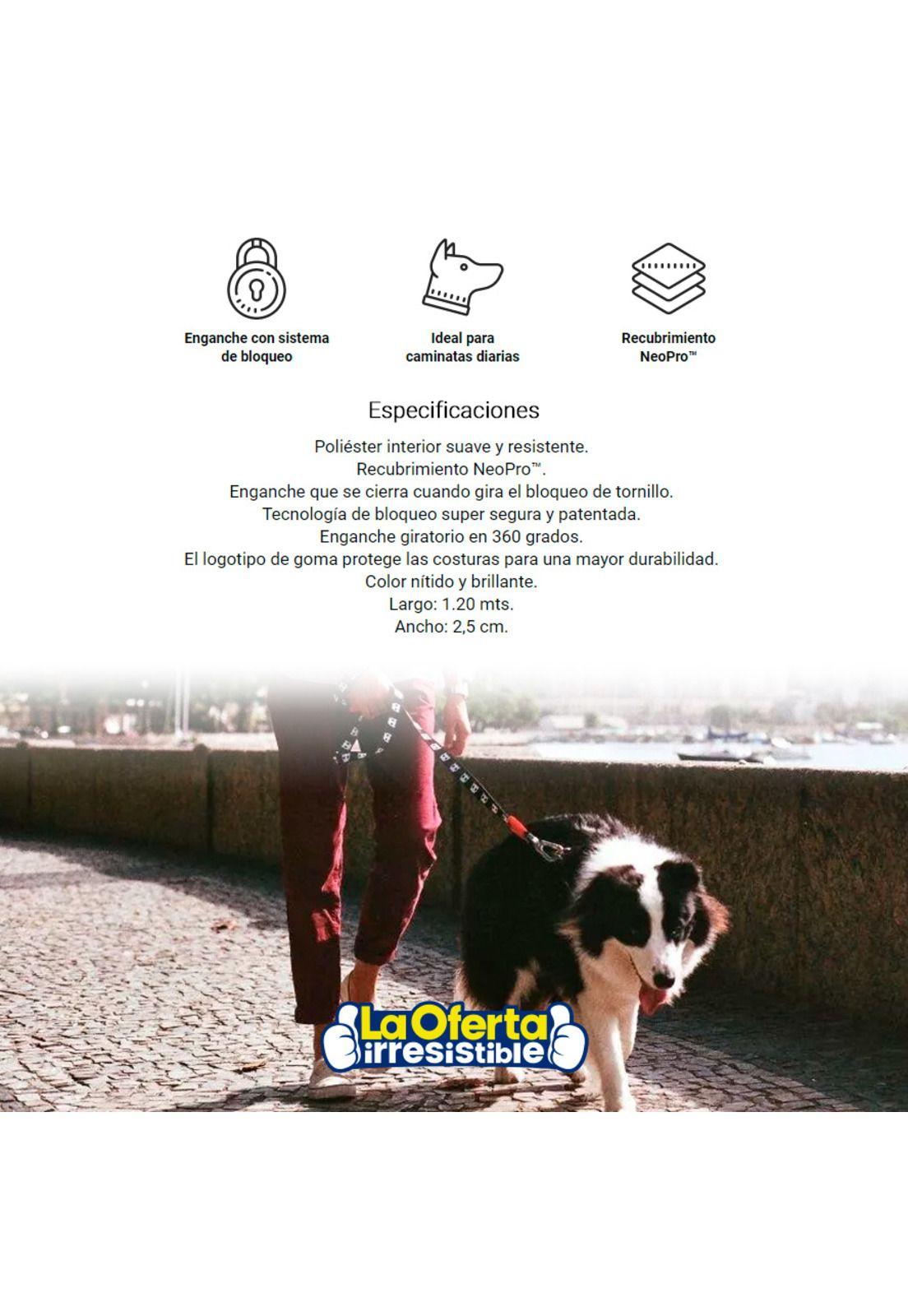 Correa Para Perro ZeeDoog Skull Large-2