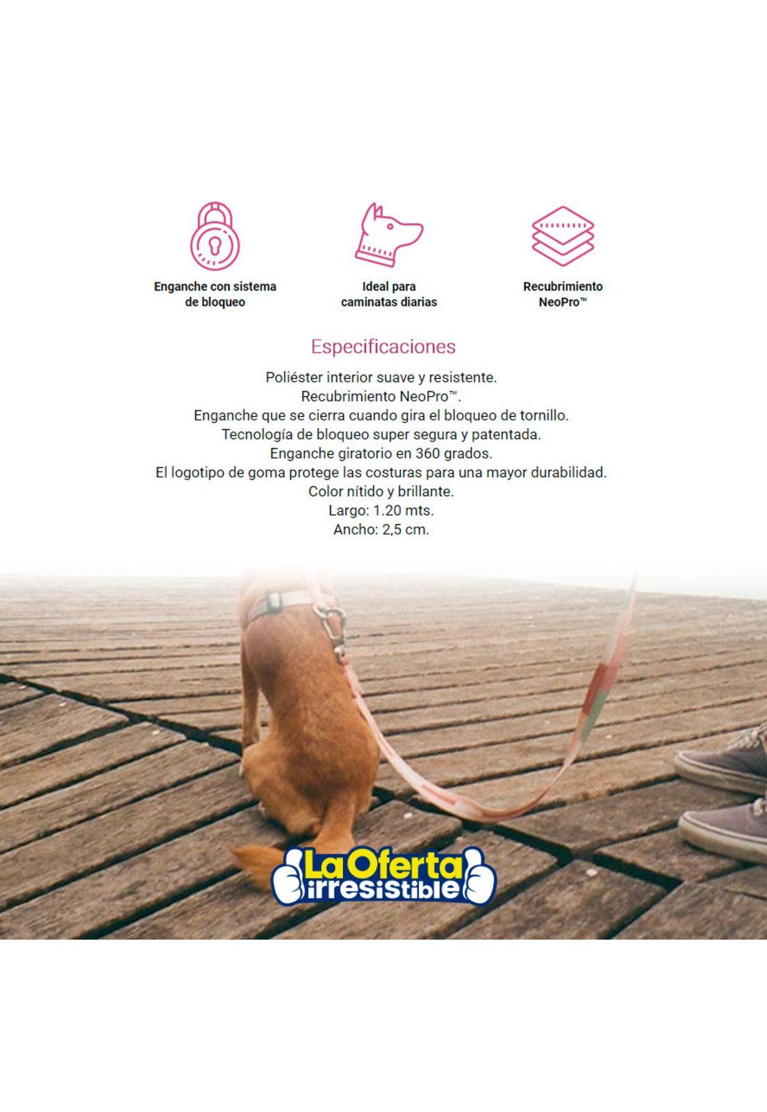 Correa Para Perro Zedoog Laguna Large-2