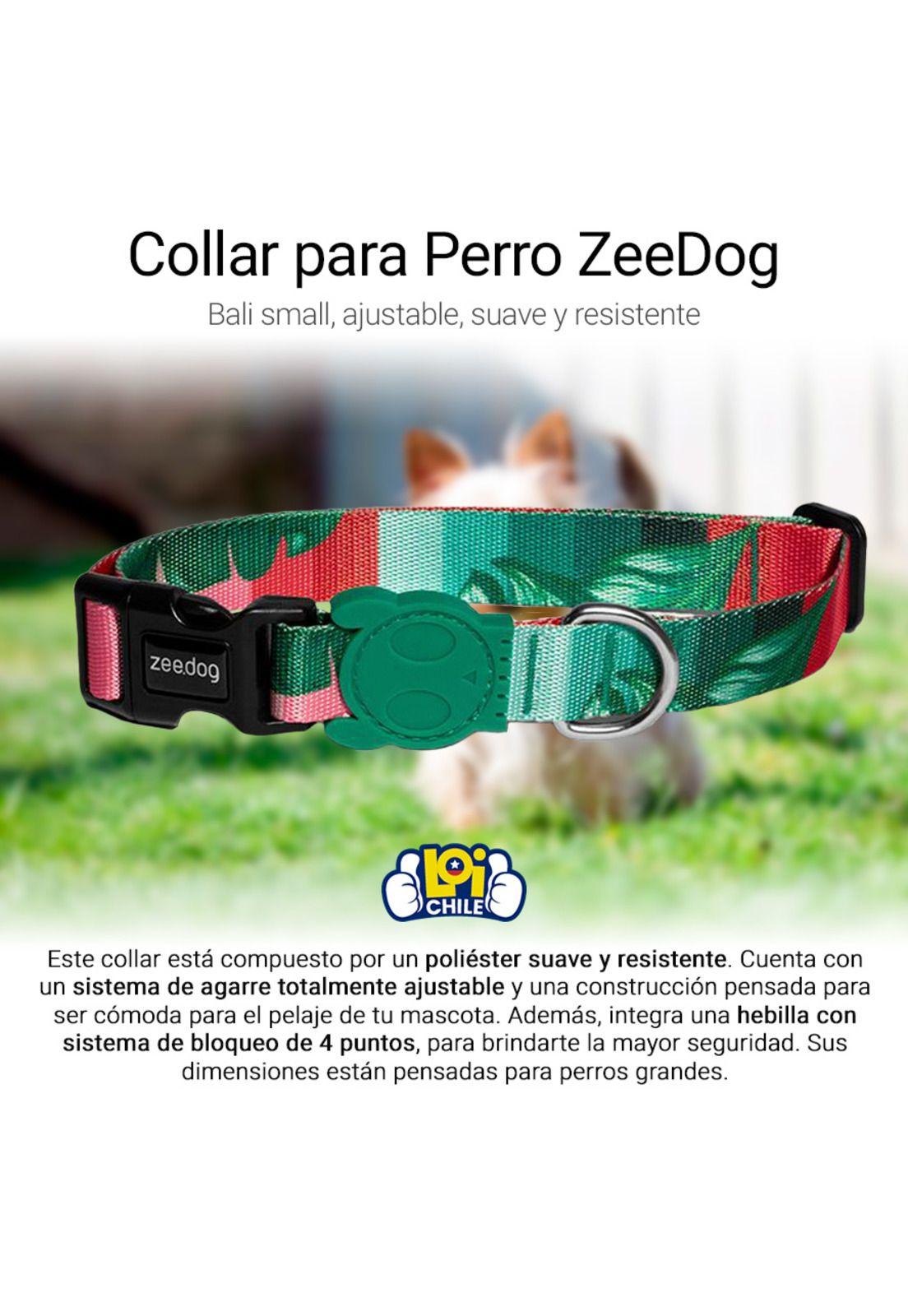 Collar Para Perro Bali Small Zeedog-1