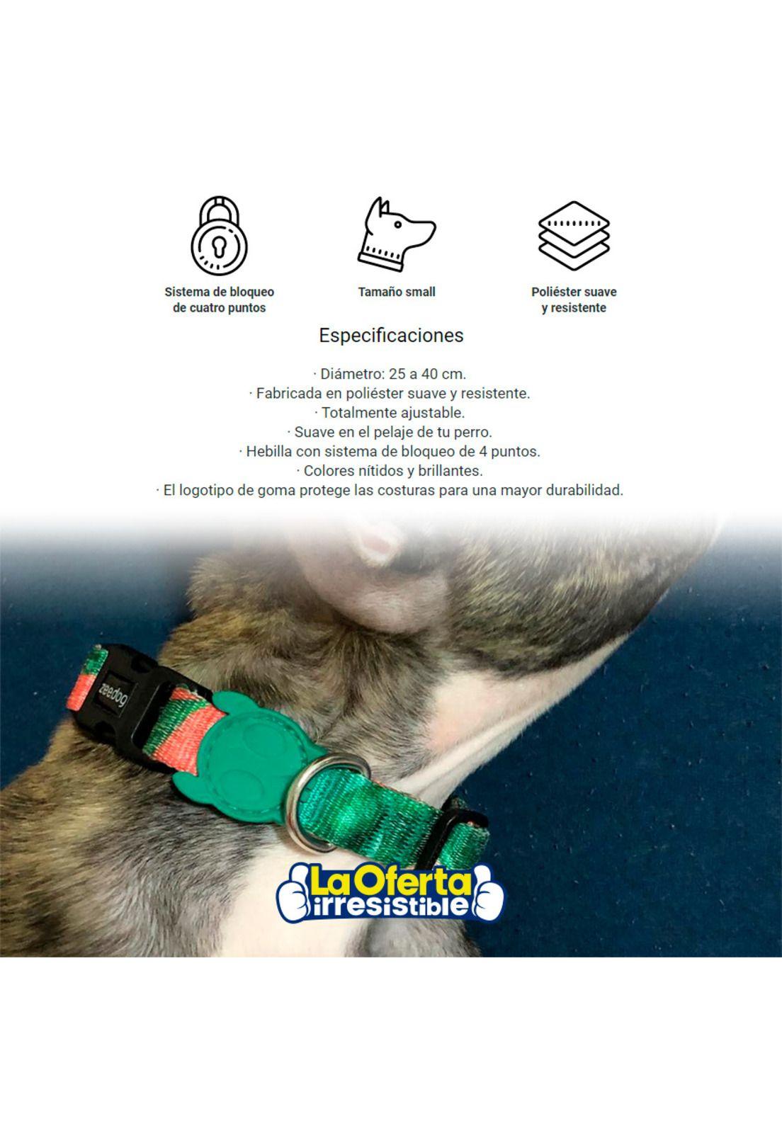 Collar Para Perro Bali Small Zeedog-2