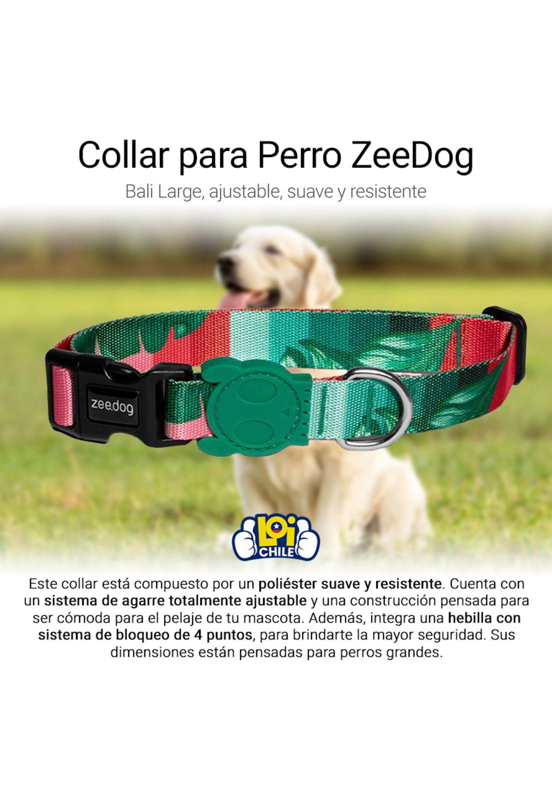Collar para Perro Bali ZeeDog-1