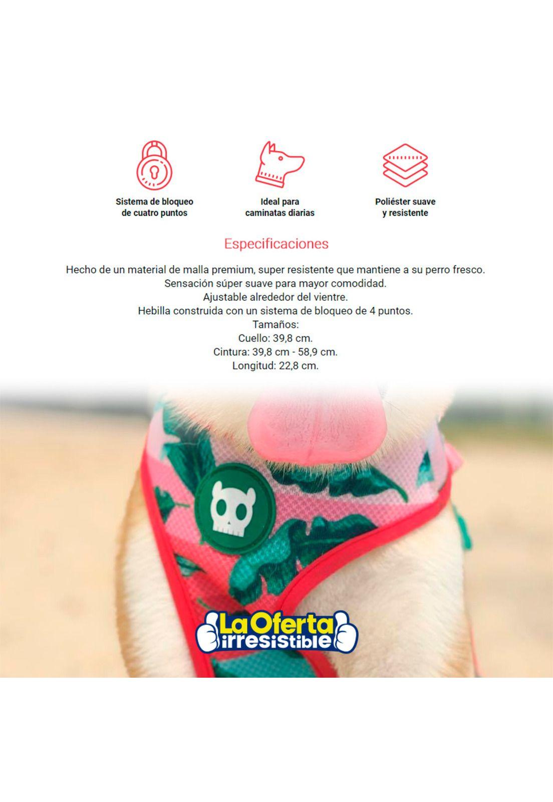 Arnes Para Perro Bali Air Mesh Plus Medium ZeeDog-2